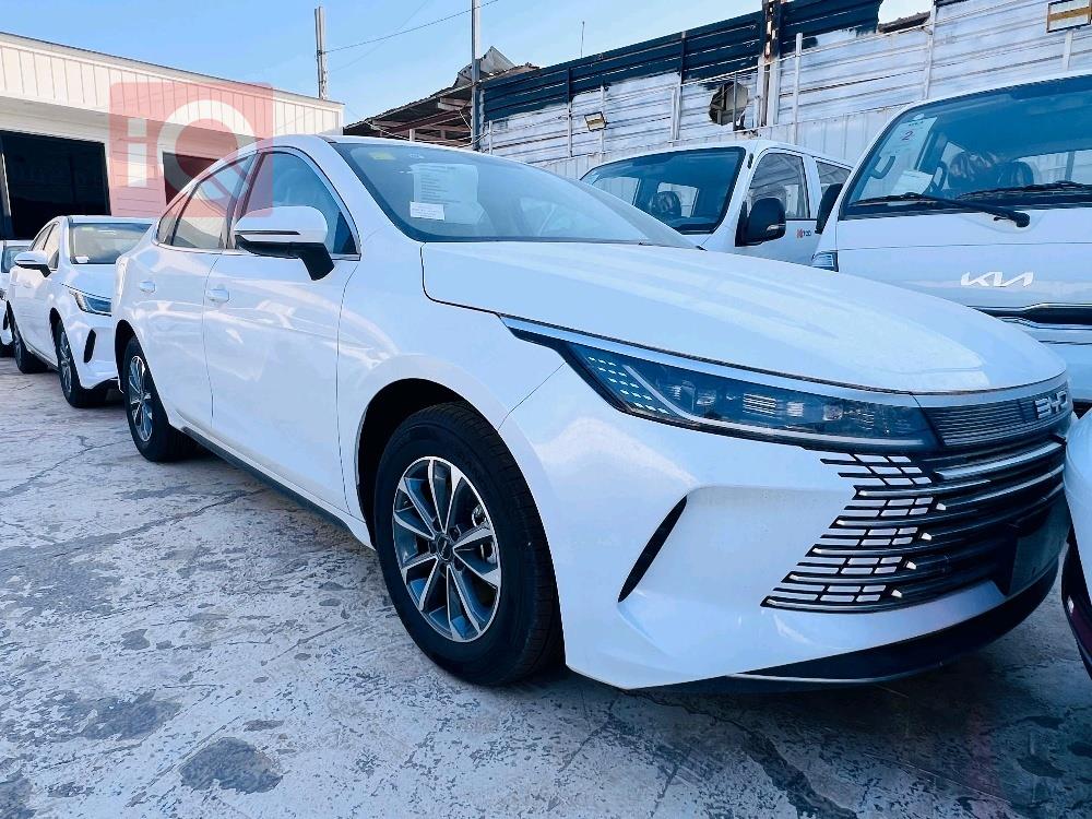 BYD Destroyer 05